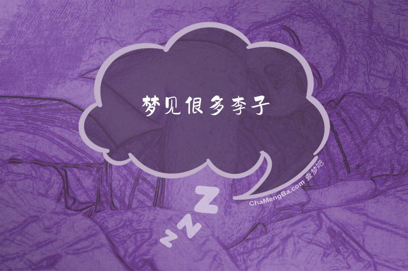 梦见很多李子