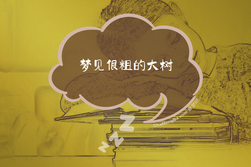 梦见很粗的大树
