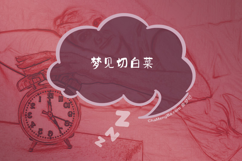 梦见切白菜