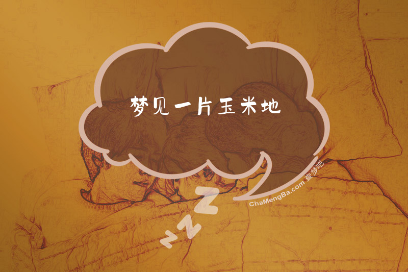 梦见一片玉米地