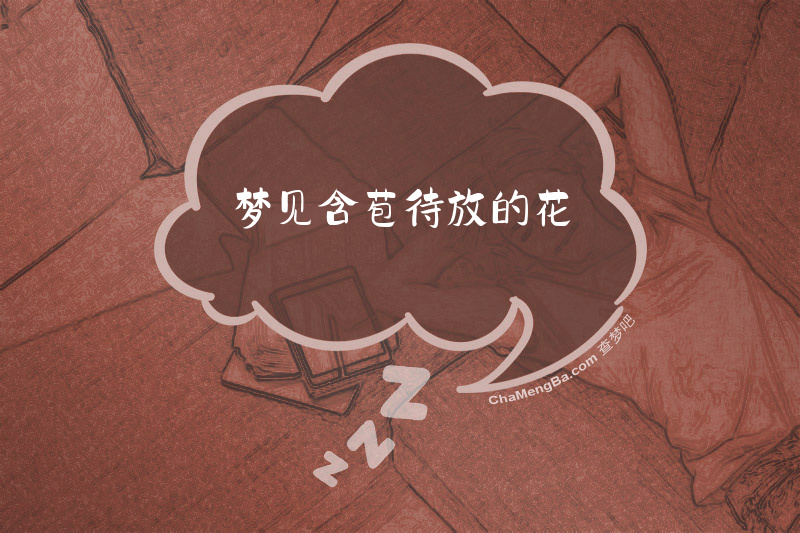 梦见含苞待放的花