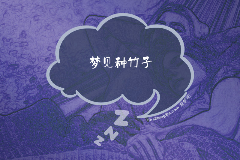 梦见种竹子