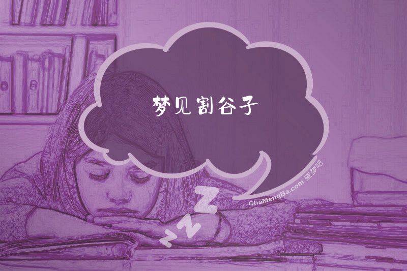 梦见割谷子