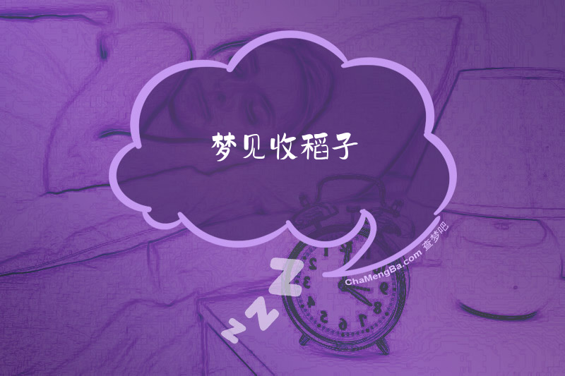 梦见收稻子