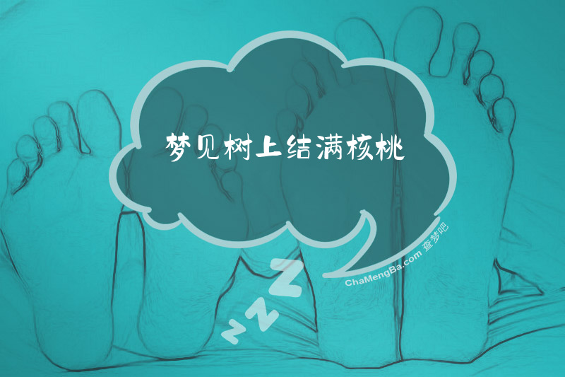 梦见树上结满核桃