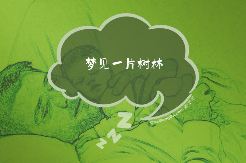 梦见一片树林