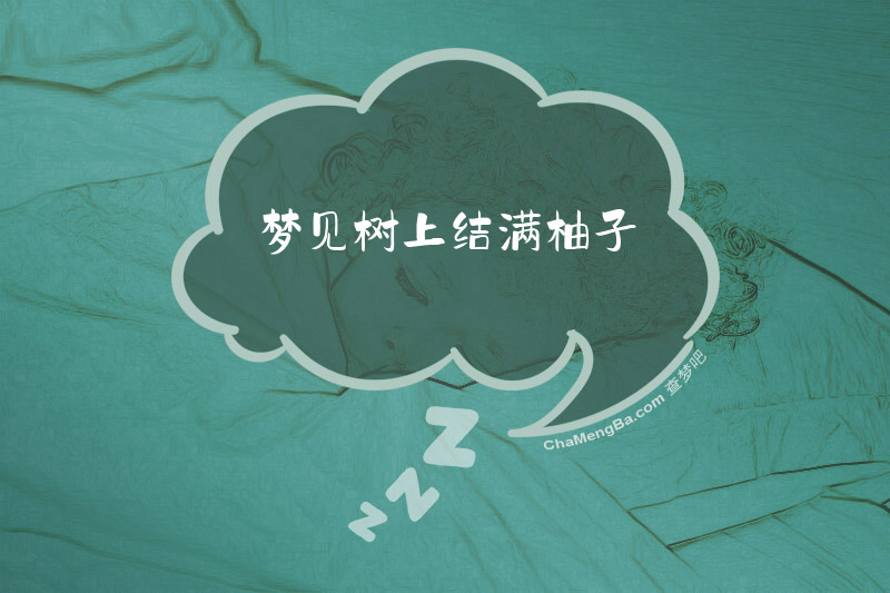 梦见树上结满柚子