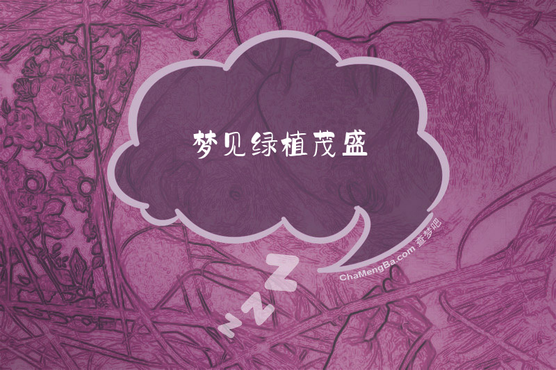 梦见绿植茂盛