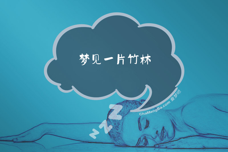梦见一片竹林