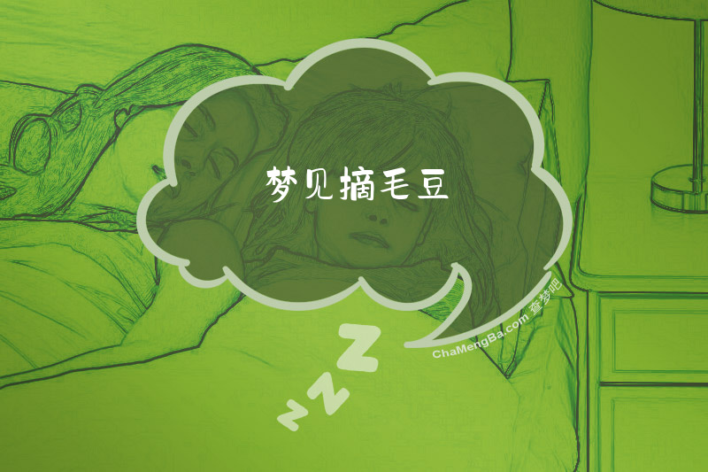 梦见摘毛豆