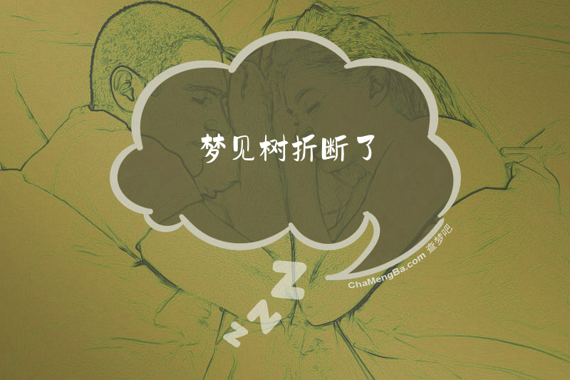 梦见树折断了