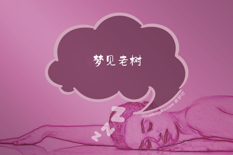 梦见老树