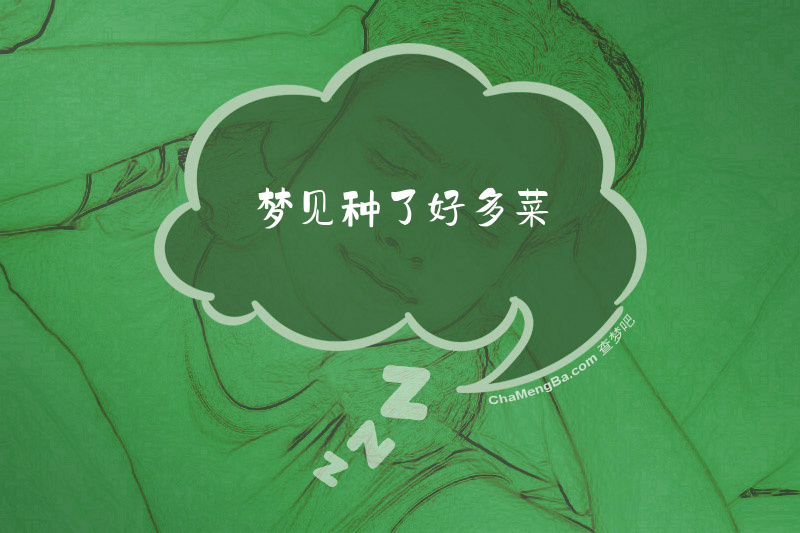 梦见种了好多菜