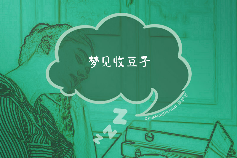 梦见收豆子