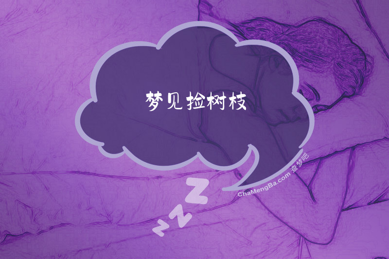 梦见捡树枝
