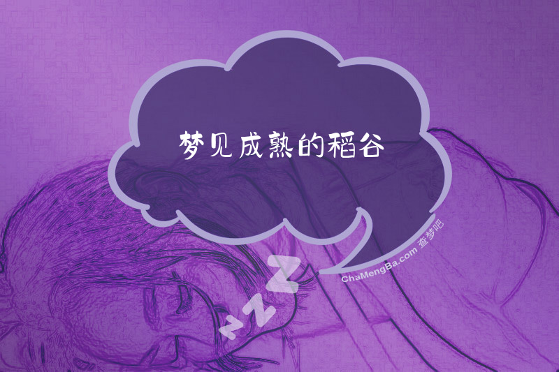 梦见成熟的稻谷