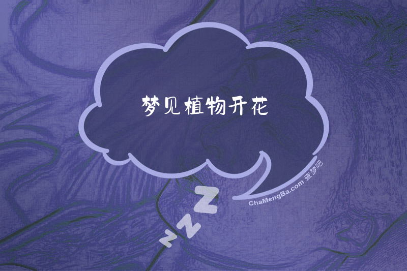 梦见植物开花