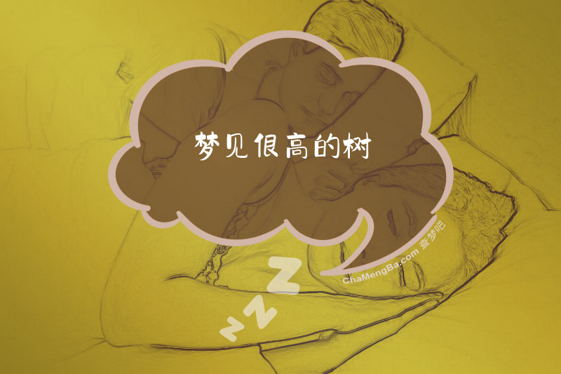 梦见很高的树
