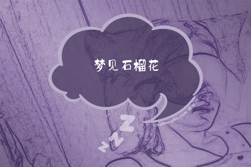 梦见石榴花
