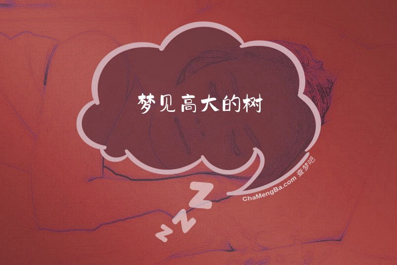 梦见高大的树