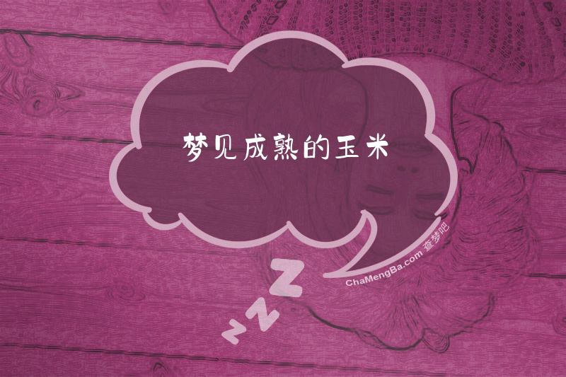 梦见成熟的玉米