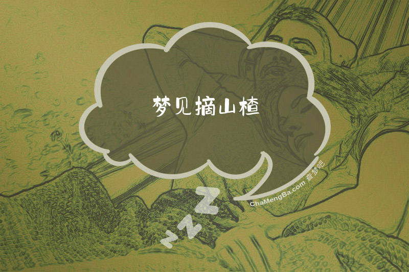 梦见摘山楂