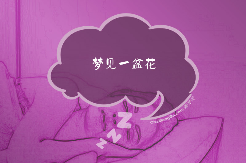 梦见一盆花