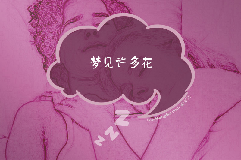 梦见许多花