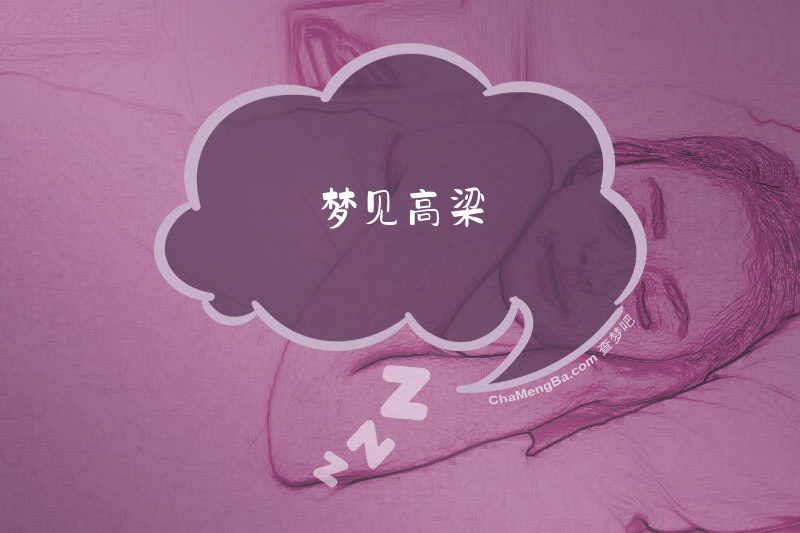梦见高梁