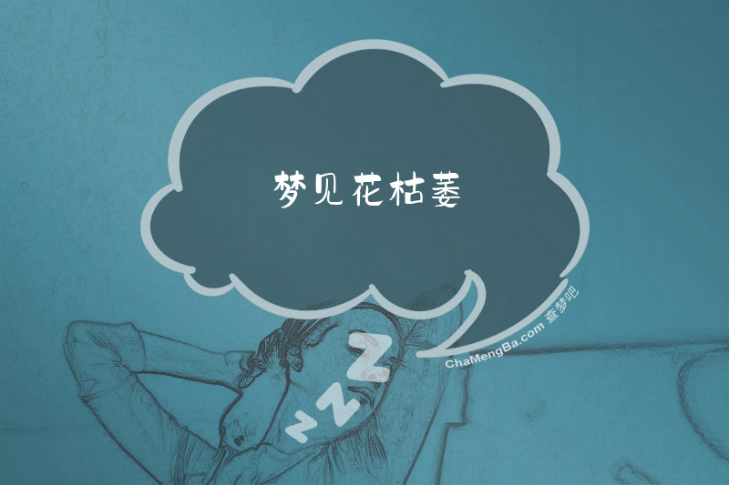 梦见花枯萎