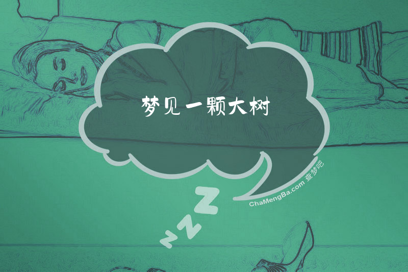 梦见一颗大树