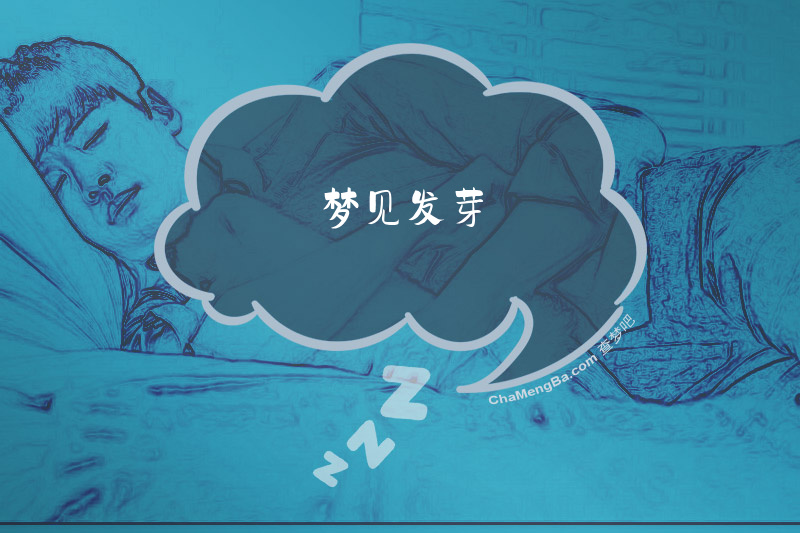 梦见发芽