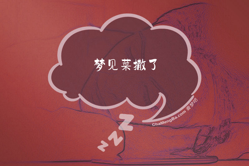 梦见菜撒了