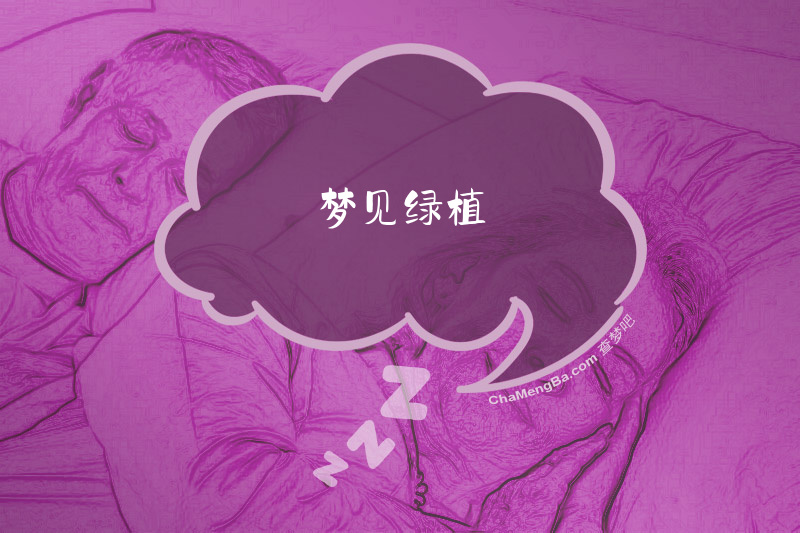 梦见绿植