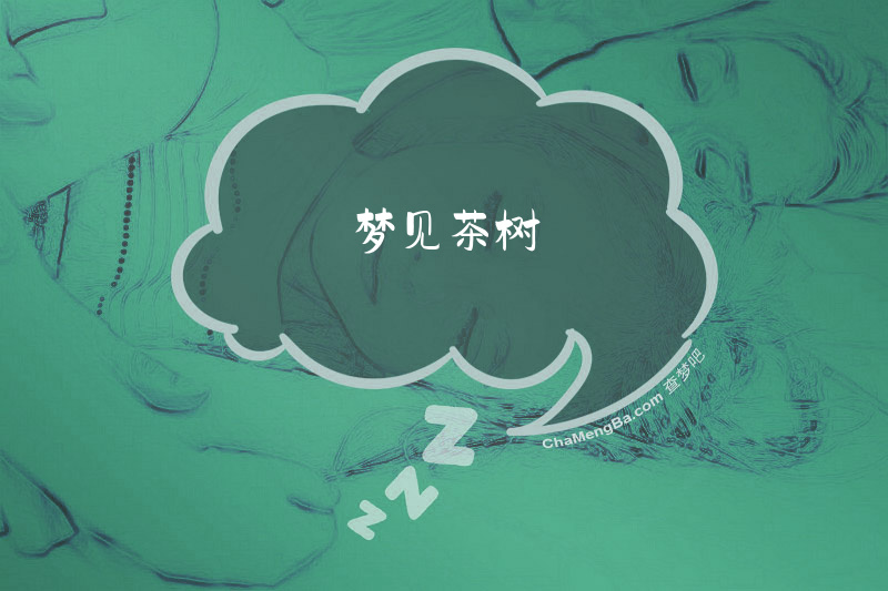 梦见茶树