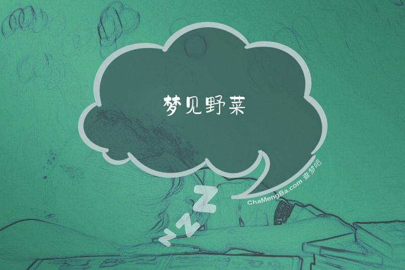 梦见野菜