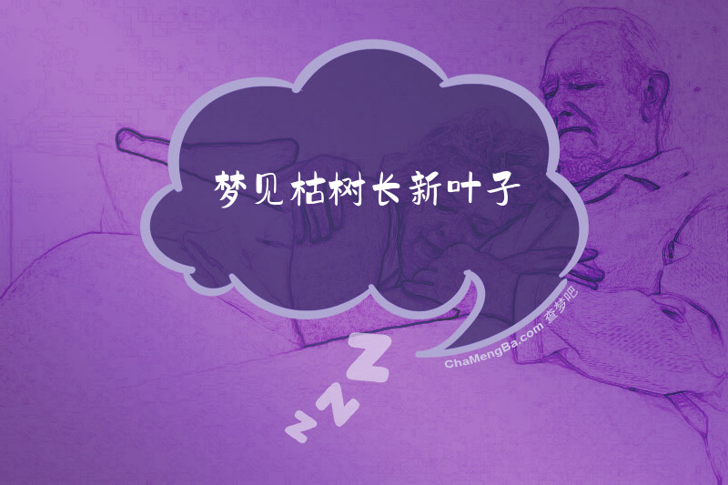 梦见枯树长新叶子