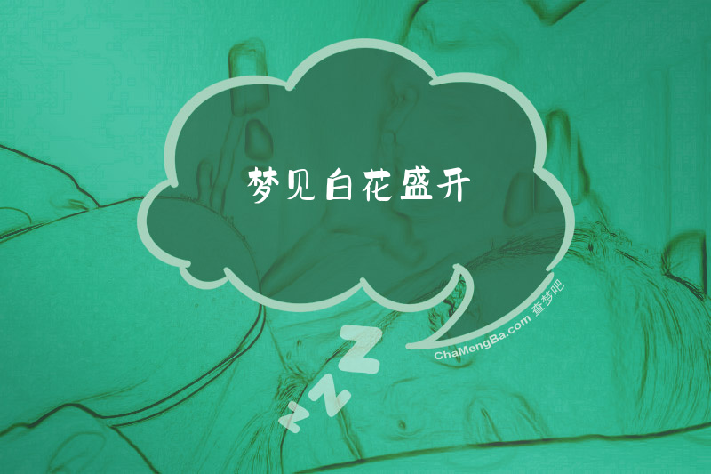 梦见白花盛开