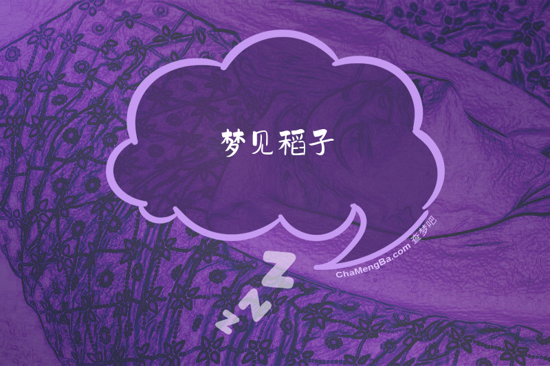 梦见稻子