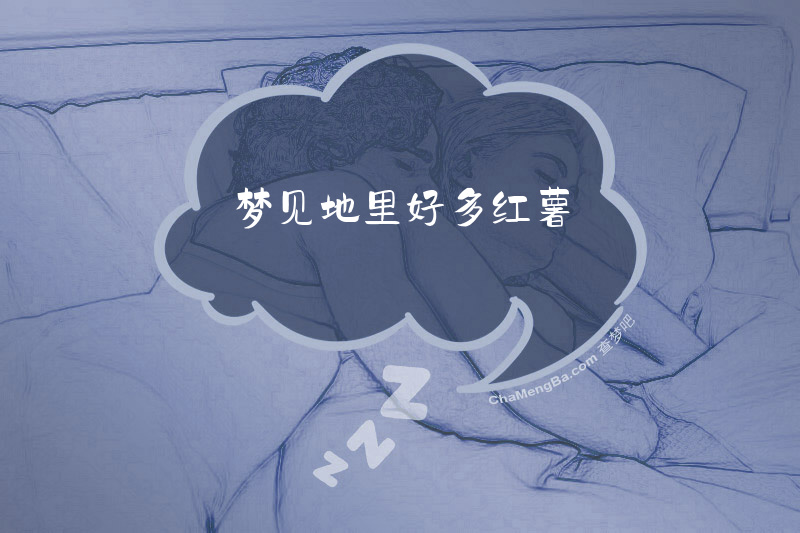 梦见地里好多红薯