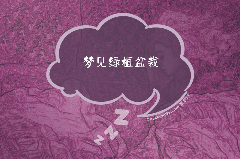 梦见绿植盆栽