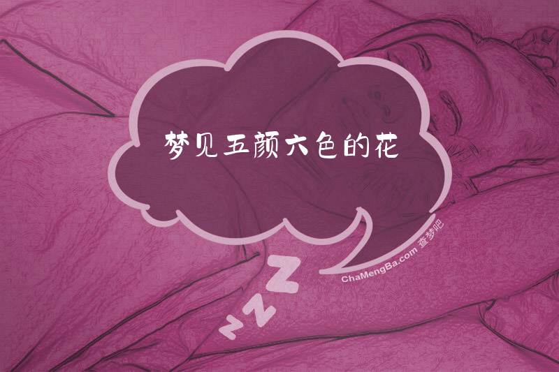 梦见五颜六色的花