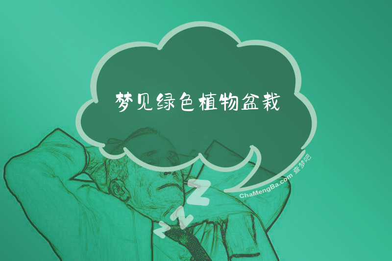 梦见绿色植物盆栽
