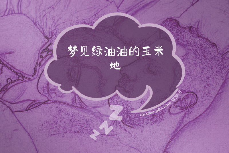 梦见绿油油的玉米地