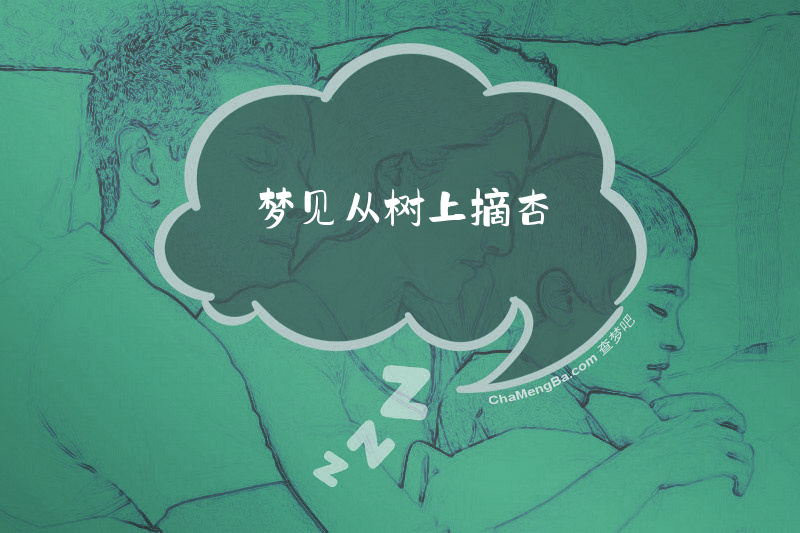 梦见从树上摘杏