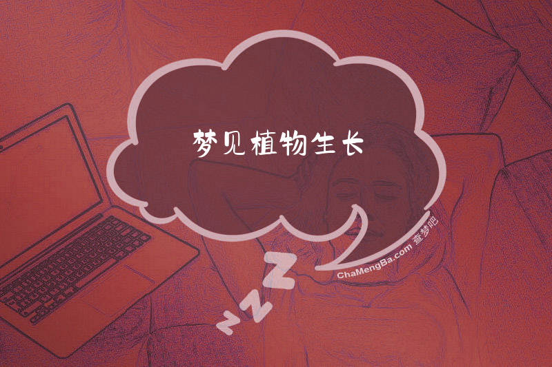 梦见植物生长