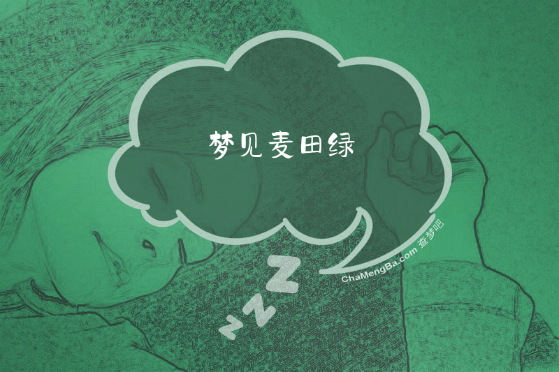 梦见麦田绿