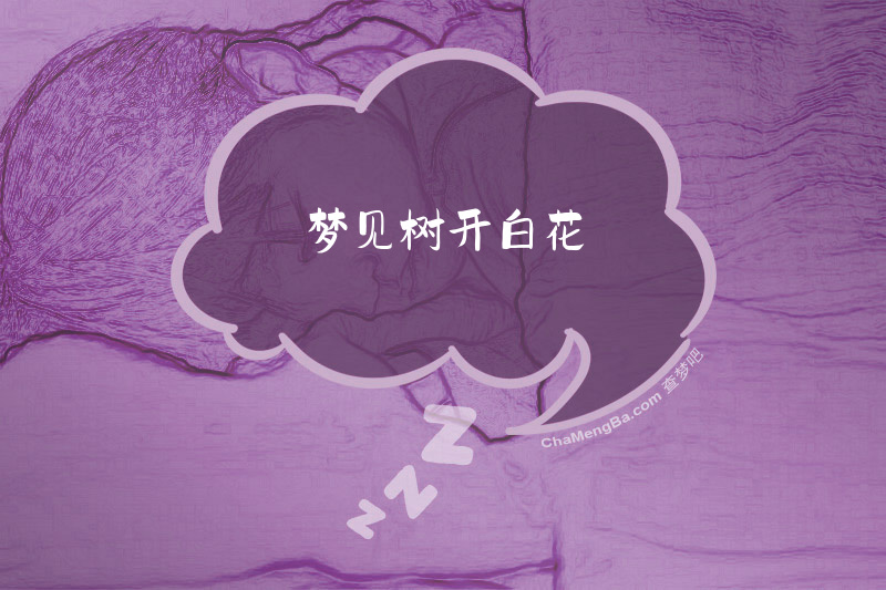 梦见树开白花