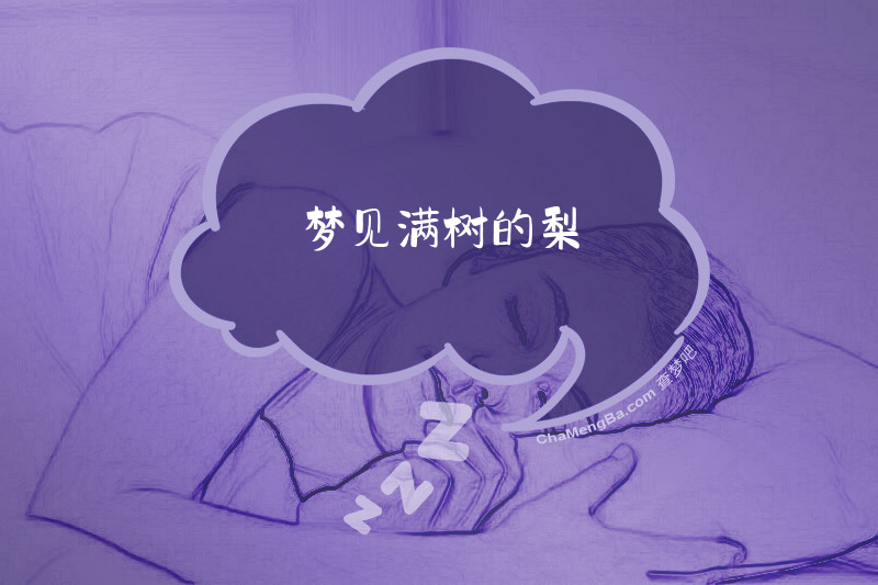 梦见满树的梨