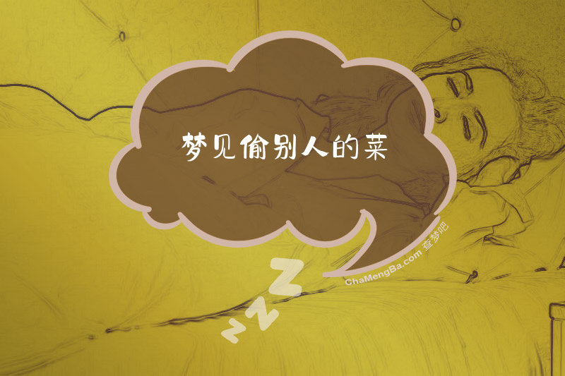 梦见偷别人的菜